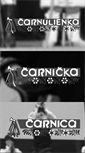 Mobile Screenshot of carnica.sk
